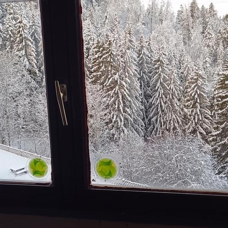 Appartement dernier étage au pied des pistes HIRMENTAZ - Appartement avec Vue sur la Montagne - 22