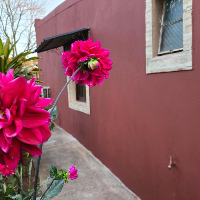 Lo de Toty - Casa de 3 dormitorios - 9