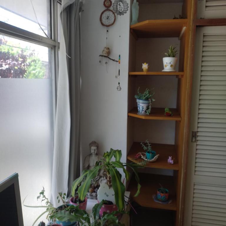 Depa de un ambiente - One-Bedroom Apartment - 8