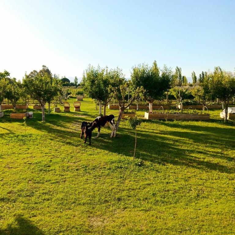 Finca Sustentable - Two-Bedroom Apartment - 17