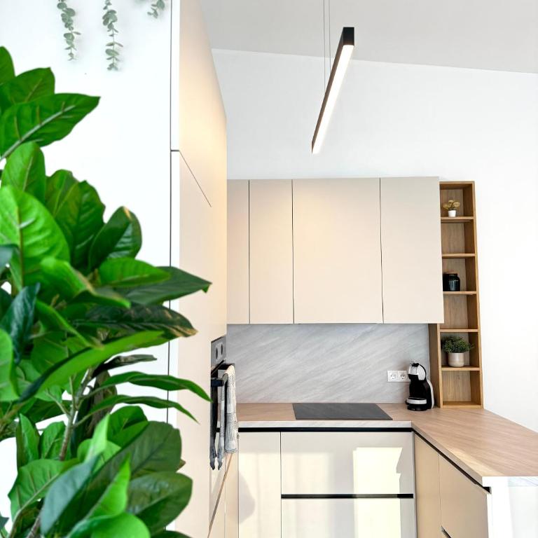 MiHome - modern Living - Apartment mit 2 Schlafzimmern - 5