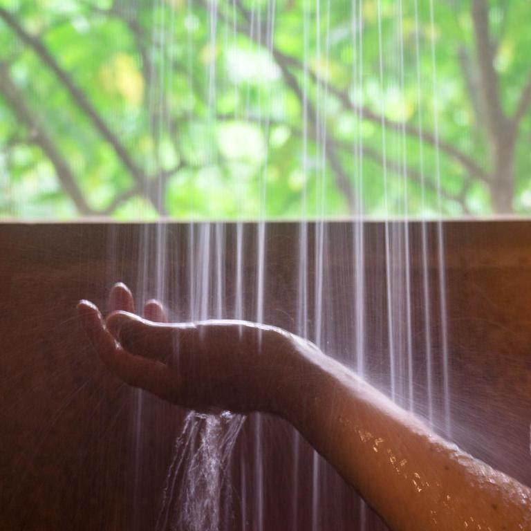 SelvaMinca - Habitación Individual - 2