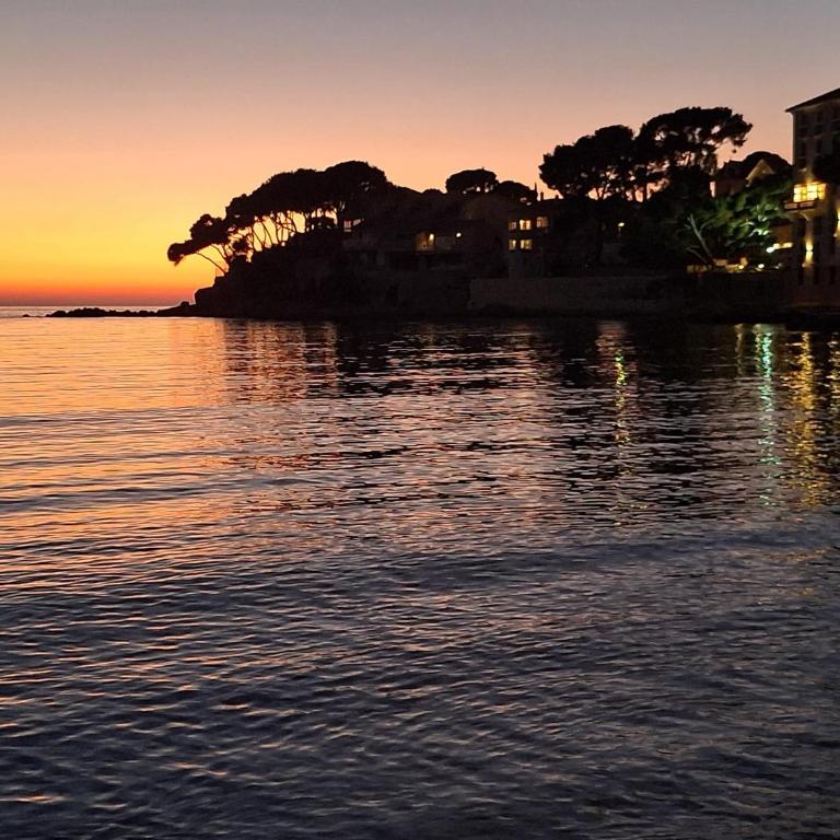 Bandol A Bandol cha cha cha - Appartement - Chambre Double - Vue sur Parc - 46