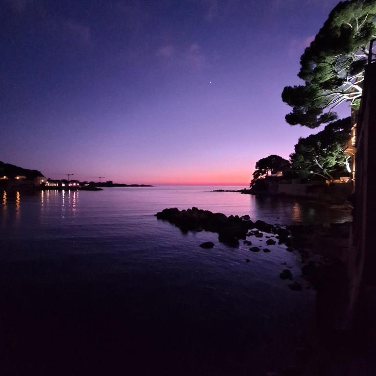 Bandol A Bandol cha cha cha - Appartement - Chambre Double - Vue sur Parc - 22