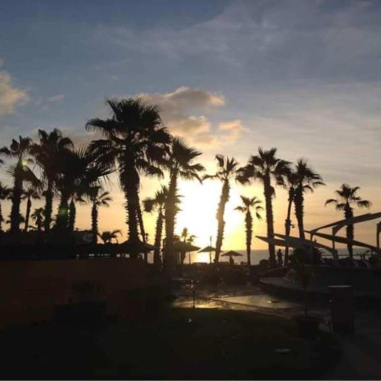 2BD Oceanview Villa Del Palmar Cabo - Villa - 23