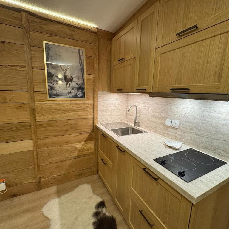 La clé dorée - Studio chalet départ télécabines - Appartement 1 Chambre - 18