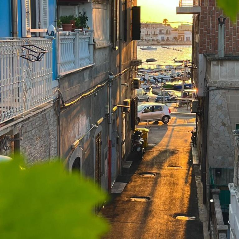 Casa del Mare e Relax - close to the Airport - Appartamento con 1 Camera da Letto, Vista Mare e Balcone - 4