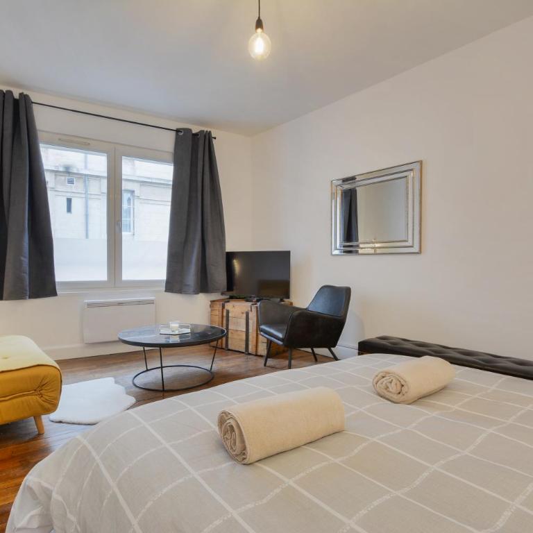 Appartement place Stanislas 1er - Appartement 1 Chambre - 1