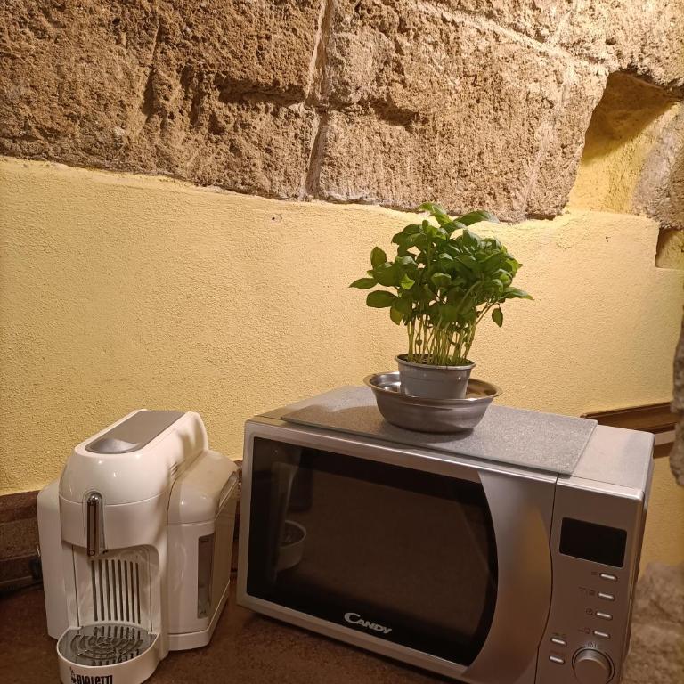 SHS Alghero - Appartamento Monolocale - 13