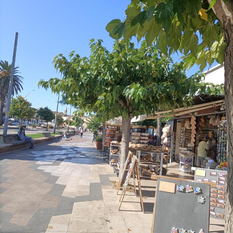 SHS Alghero - Appartamento Monolocale - 22