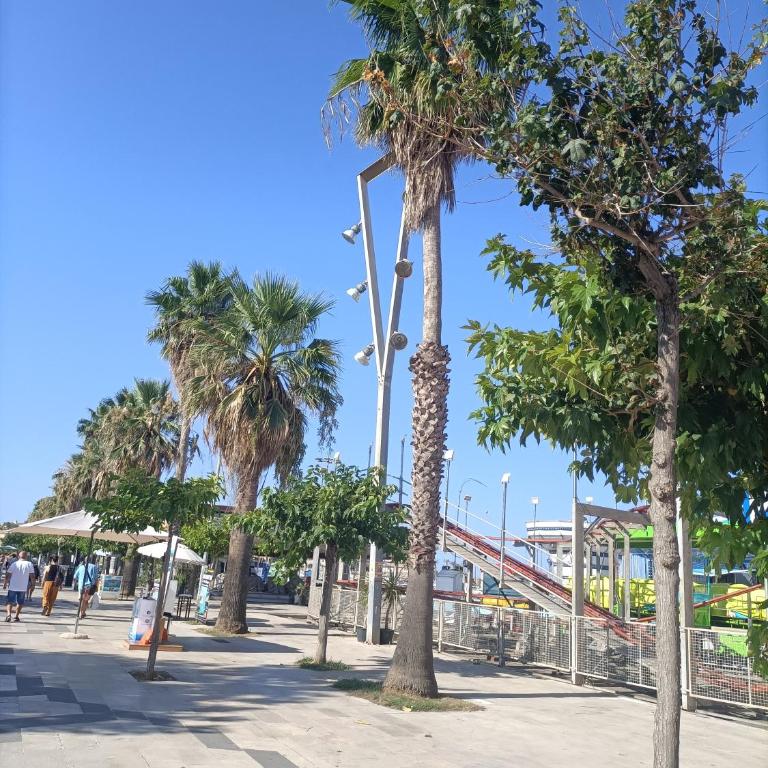 SHS Alghero - Appartamento Monolocale - 23