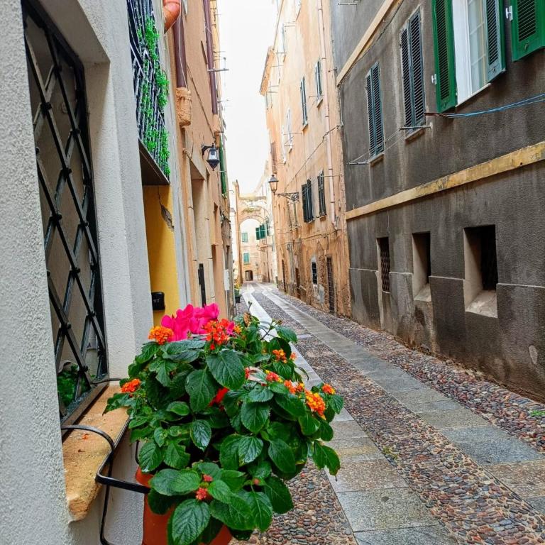 SHS Alghero - Appartamento Monolocale - 21