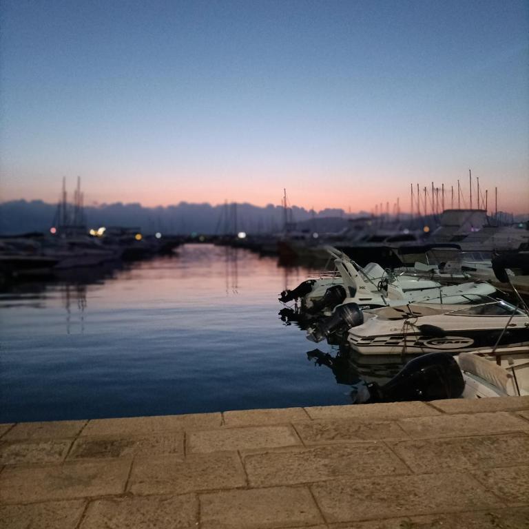 SHS Alghero - Appartamento Monolocale - 2