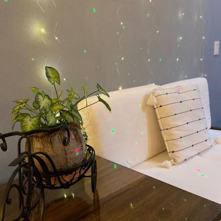 Casa Mia - Quaint Mexican Terrace - One-Bedroom Apartment - 2