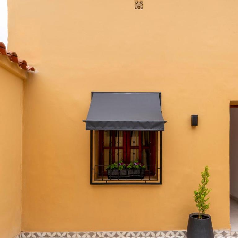 Patio Güemes - One-Bedroom Apartment - 2