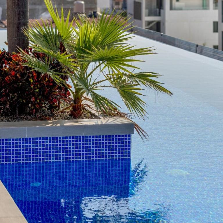 Luxurious 1BDR w King bed, private dipping pool and infinity pool with ocean views - Apartamento de 1 dormitorio - 4