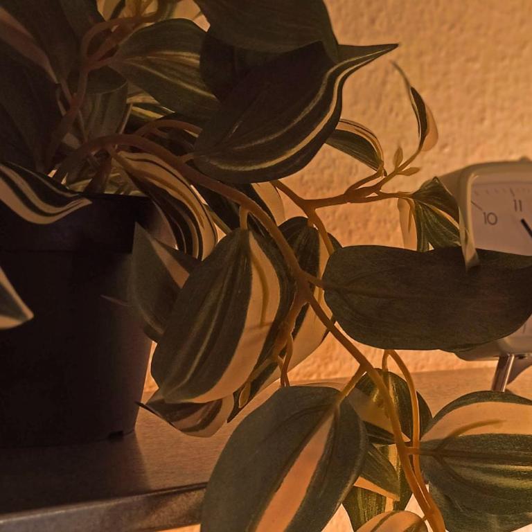 Sunset Lovers - WiFi - Netflix - Appartement 1 Chambre - 14