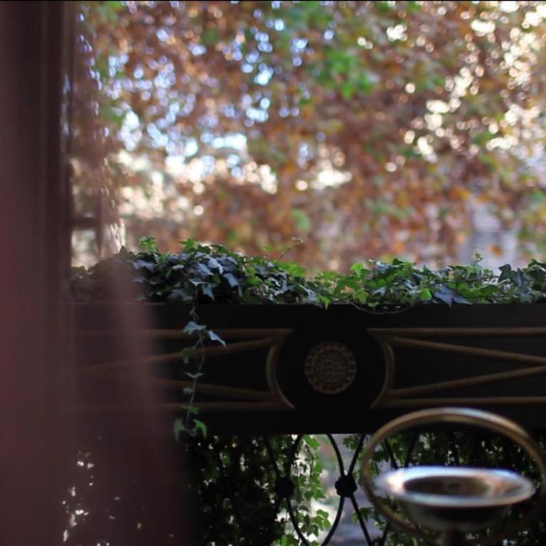 Il Relais - Camera Matrimoniale - 14