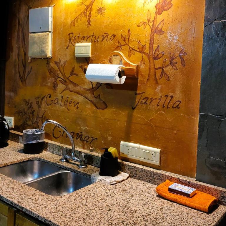 Mendoza Sol y Nieve - Deluxe Bungalow - 11