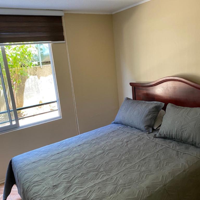 Departamento sector Villa Dulce Viña del Mar - Apartamento de 3 dormitorios - 14