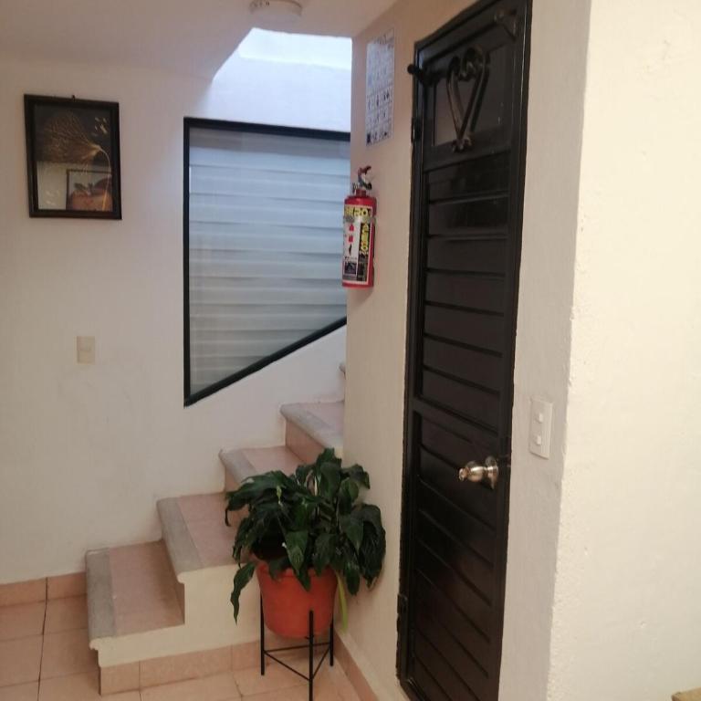 Casa koleto - Two-Bedroom Apartment - 4