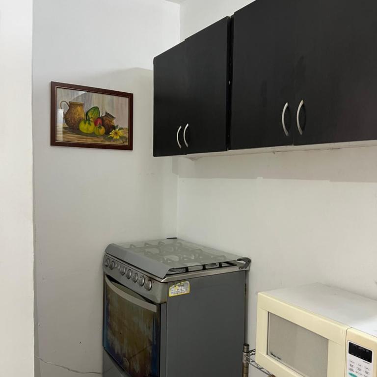 Apartaestudio Amoblado Estadio - Two-Bedroom Apartment - 13