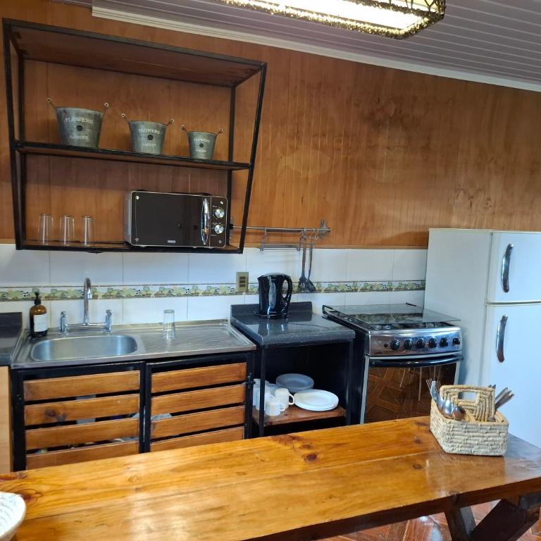 Se arrienda Cabaña por día en Puerto varas - Apartment - 3