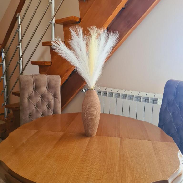 APARTMANI JASMINA - Apartman sa 2 Spavaće Sobe - 25