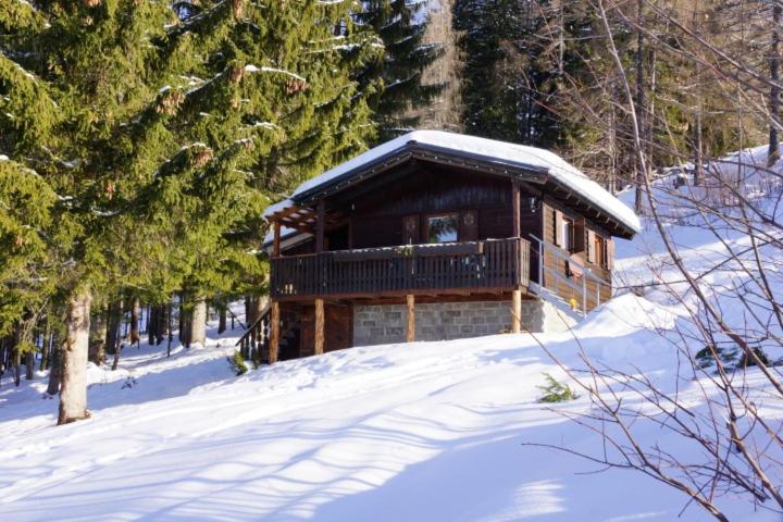 Schwammerlhütte - Ferienhaus - 10