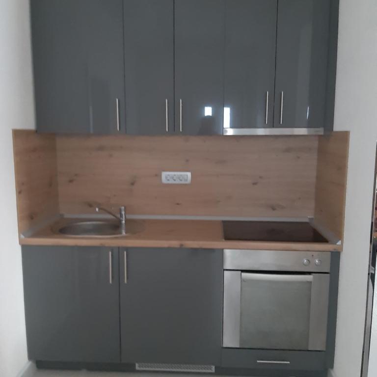 Fest - Apartman sa 1 Spavaćom Sobom - 1