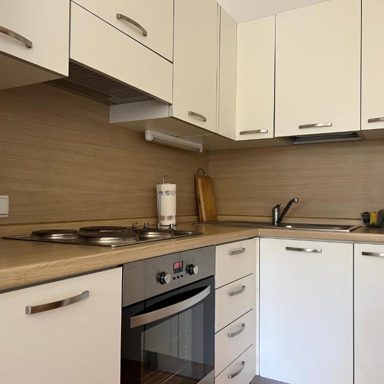Saint Martin Guest House - Appartamento con 1 Camera da Letto, Balcone e Vista Montagna - 8