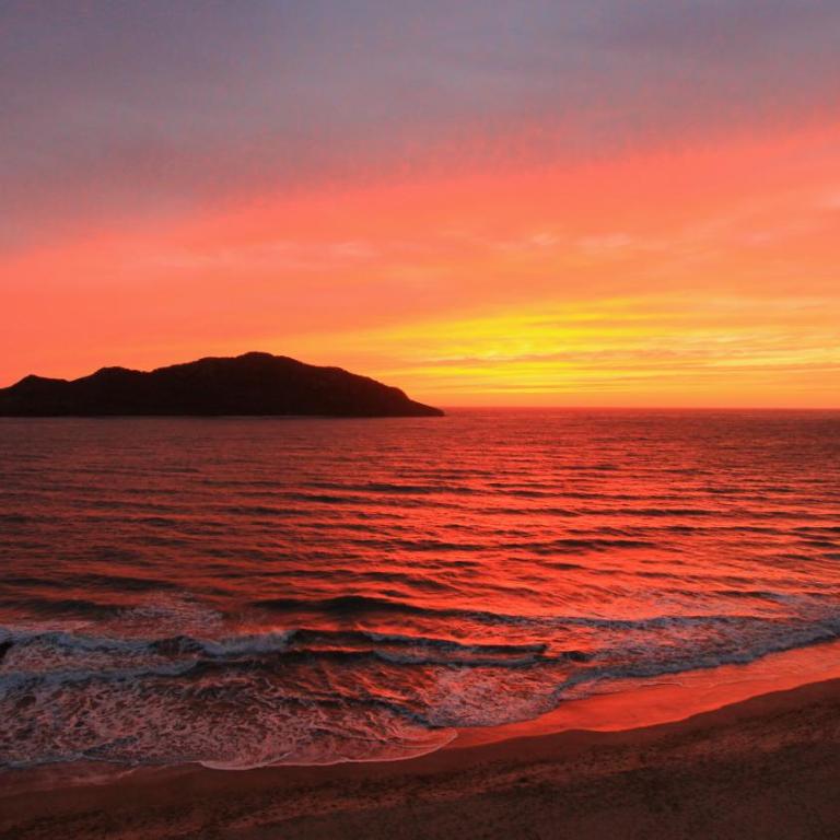 Las Flores Beach Resort - Standard Double Room - 3