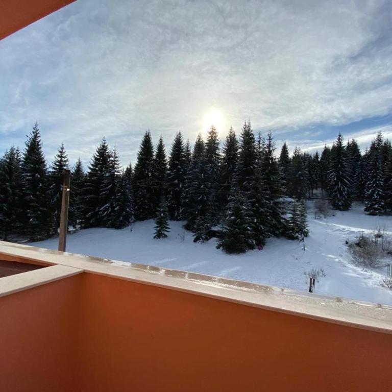 Apartman 10 - Jahorina - Two-Bedroom Apartment - 34