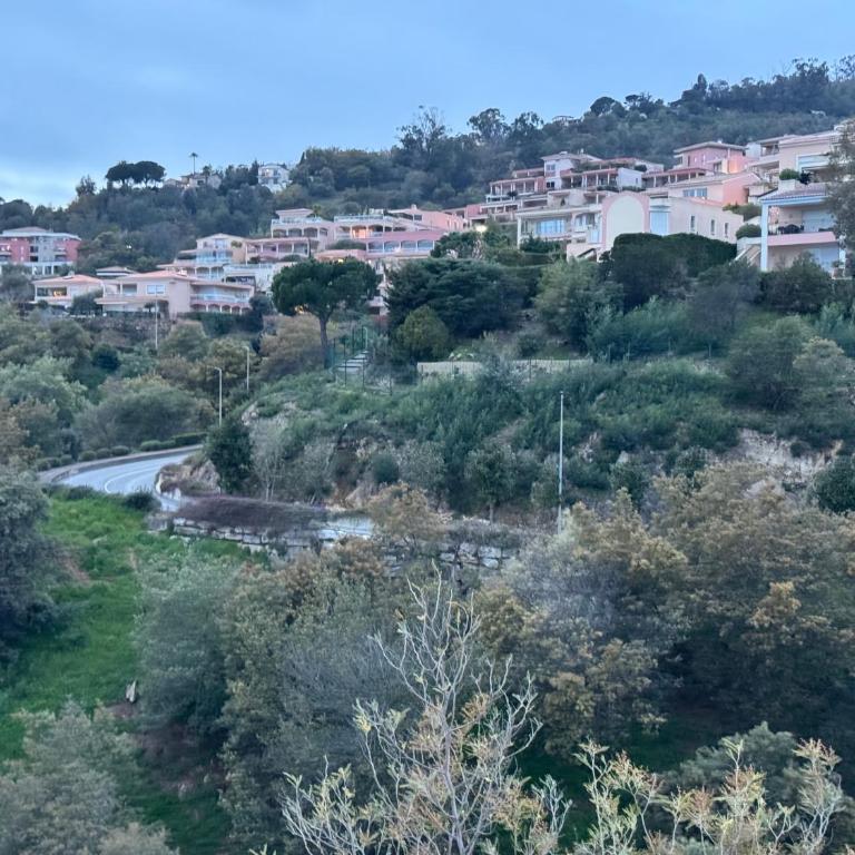 Panoramic view, perfect between sea and mountain - Apartment mit 1 Schlafzimmer - 21
