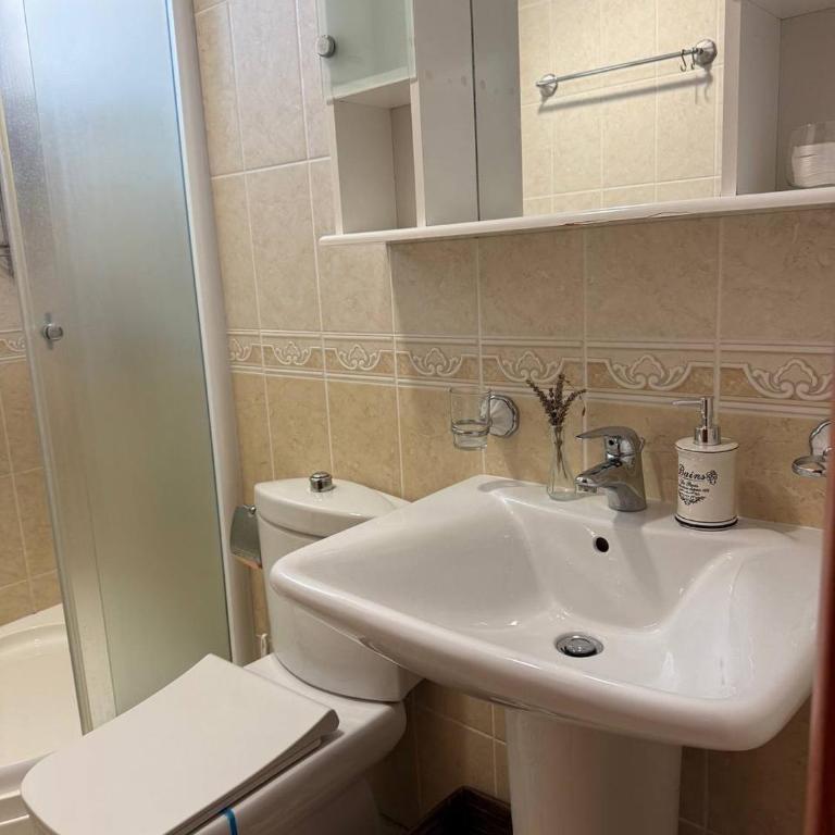 Savina apartment Herceg Novi - Apartman sa 1 Spavaćom Sobom - 9