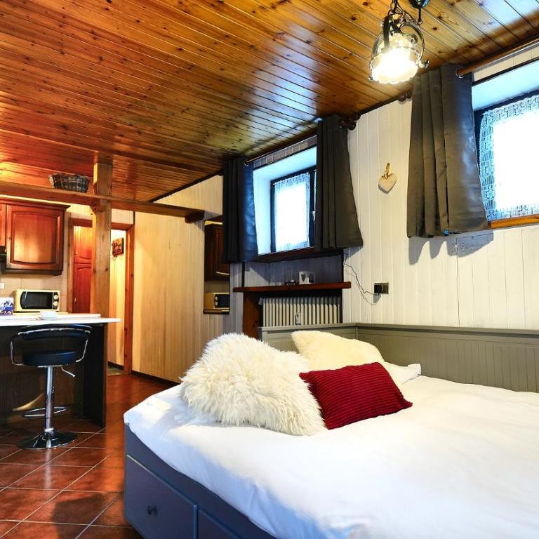 MCX Vacation Rental- Le Petit Coeur Du Mont Fleury, Studio Pet Friendly, just 500 meters from the ski lifts ! - Monolocale Standard - 3