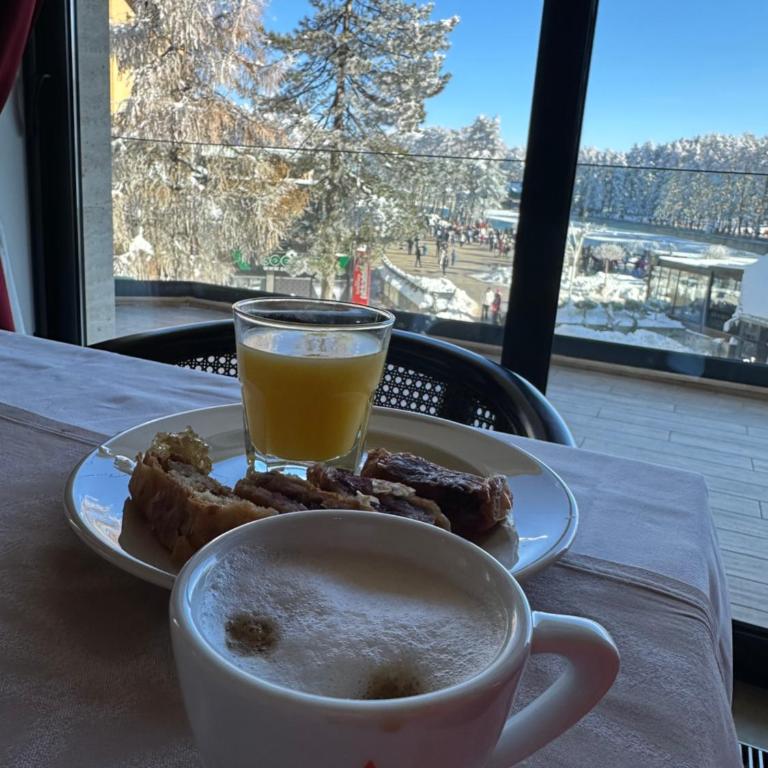 ZLATIBORSKI best view - Apartman sa 1 Spavaćom Sobom - 16