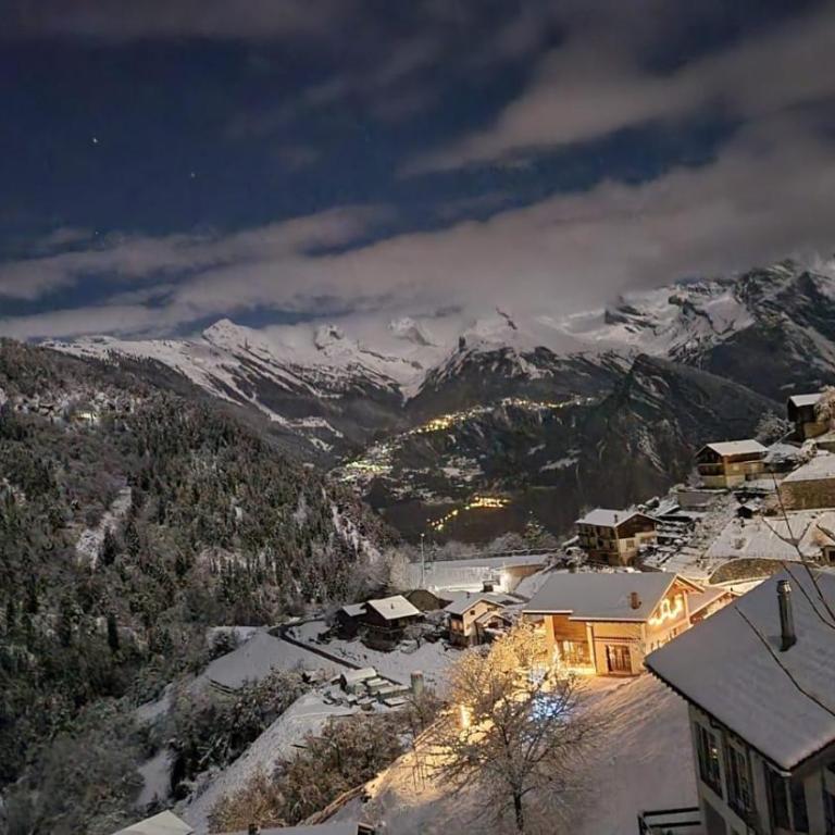 Charming 6 bed chalet in 4 Valleés - Chalet - 12