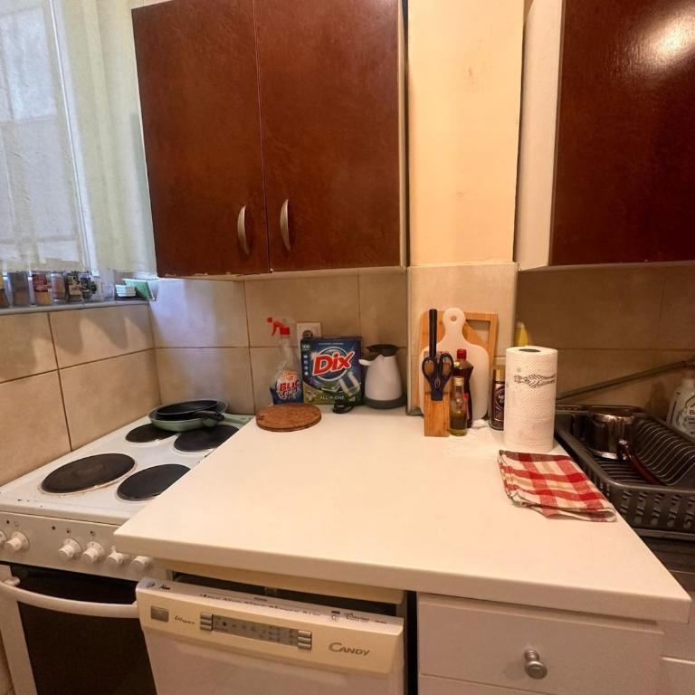 Fontana 1st floor - One-Bedroom Apartment - 8