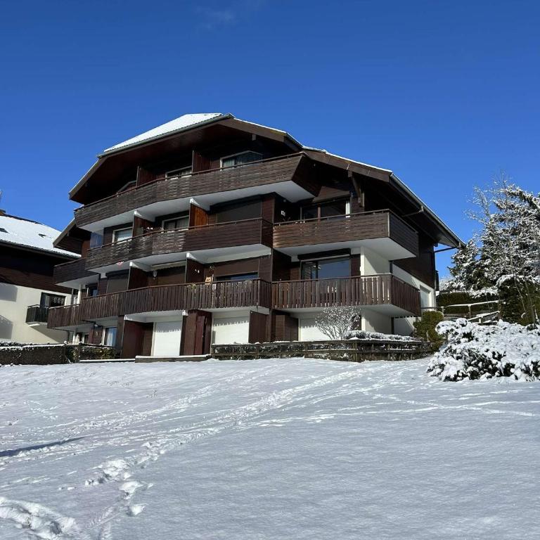 thollon-les-mémises - Studio - Vue sur Montagne - 16