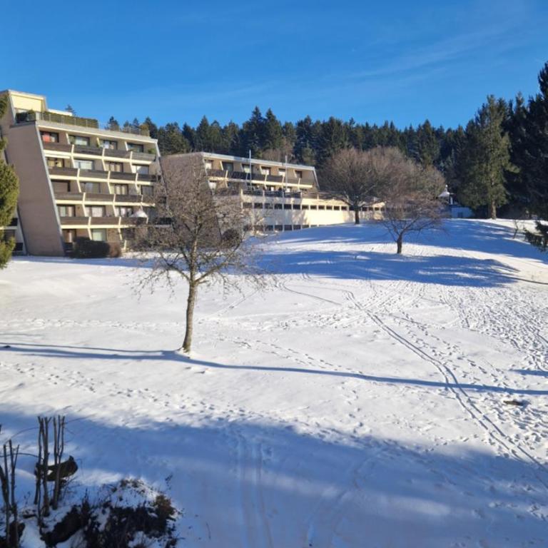 Zweizimmerwohnung - Ferienwohnung im Sankt Englmar - Apartment mit 1 Schlafzimmer - 3
