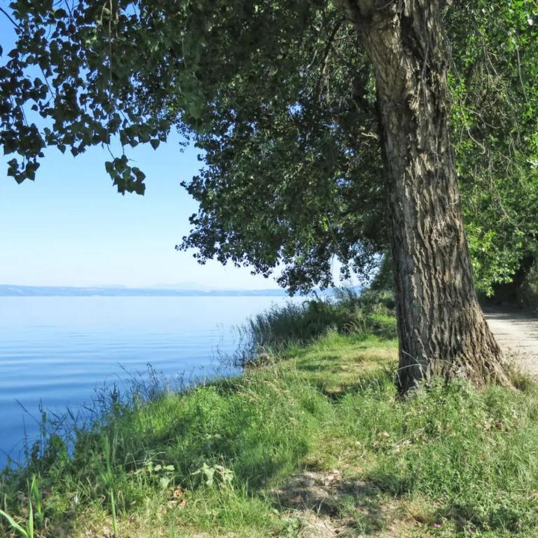 Agriturismo Monterotondo, sul Lago di Bolsena - Casa con 2 Camere da Letto - 16