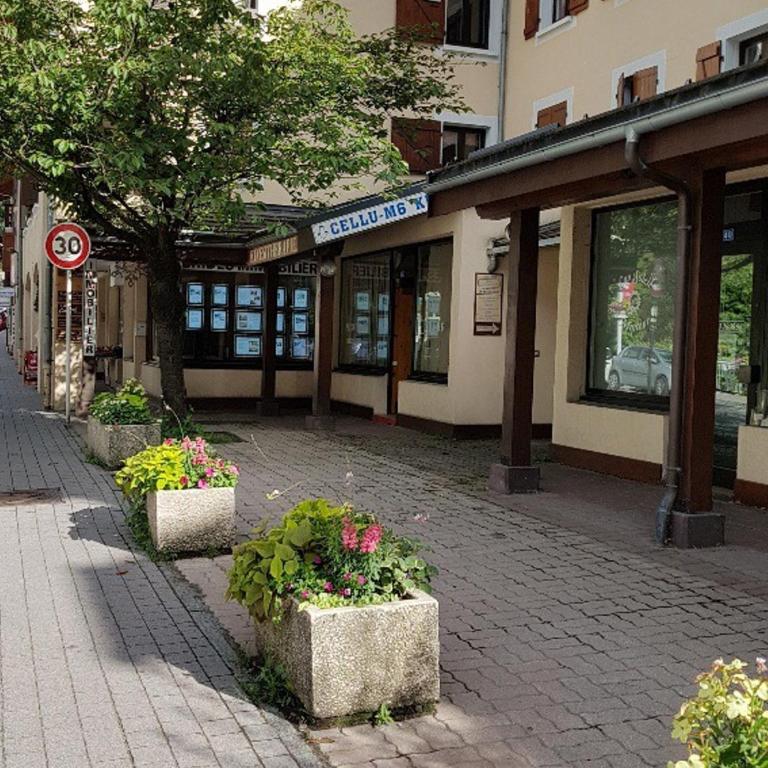 Appartement lumineux au cœur de Brides, 6 pers, balcon, wifi, animaux admis - Appartement 2 Chambres - 4
