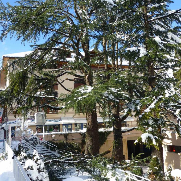 Studio 2 Pers. Centre Ville avec Balcon - Studio - 4