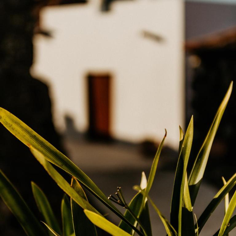 Casa Las Carballas Isabel - Chalet de 1 dormitorio - 6