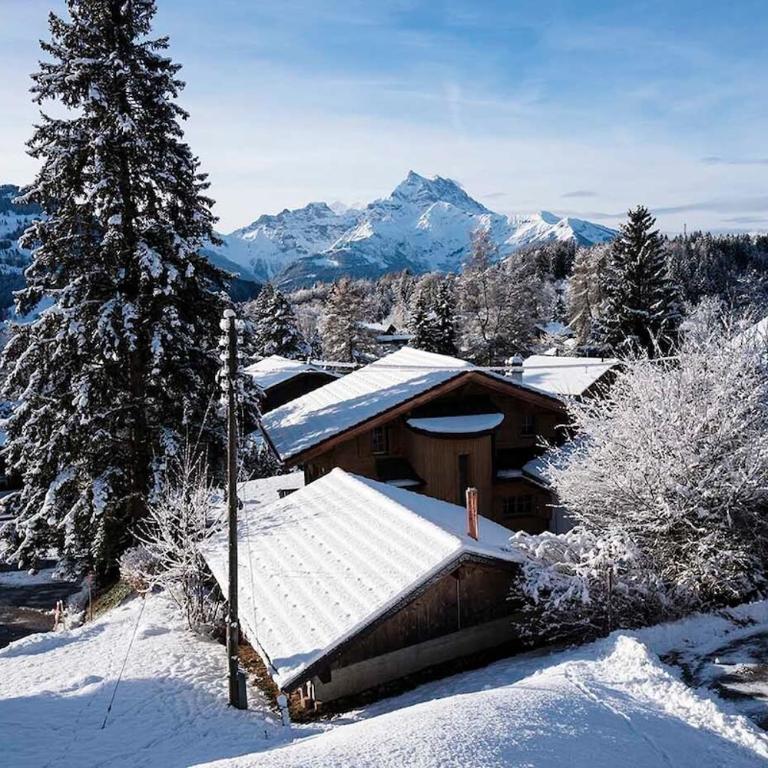 Asters B1 à Gryon 5 personnes emplacement ideal vue sur les montagnes - Apartment mit 2 Schlafzimmern - 3