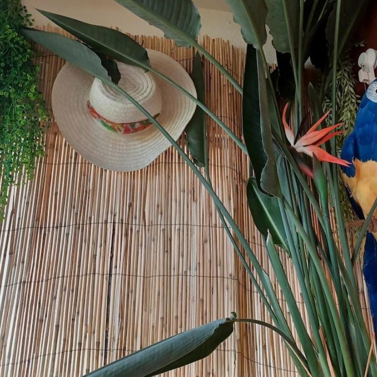 Les jardins de Diana - Apartment mit 1 Schlafzimmer - 28