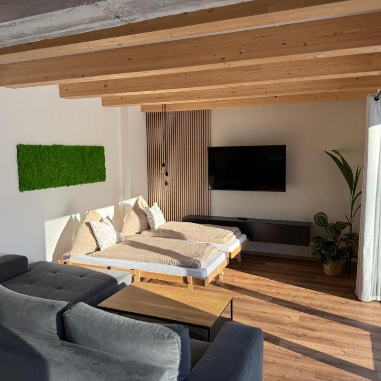 AlpLoft Apartment Top2 - Deluxe Apartment mit 1 Schlafzimmer - 10
