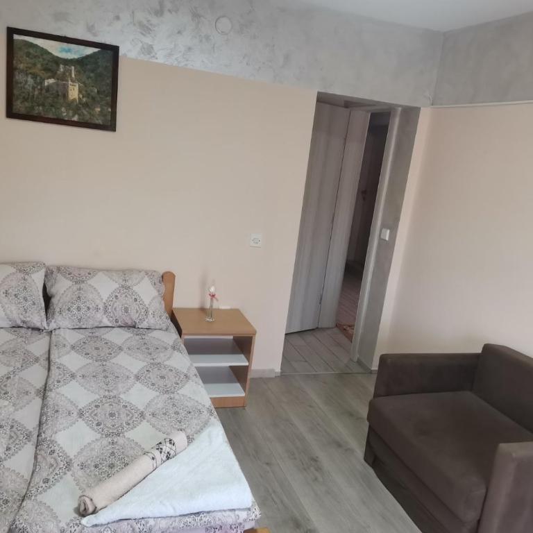 Apartmani Cvetković - Apartman sa 1 Spavaćom Sobom - 4