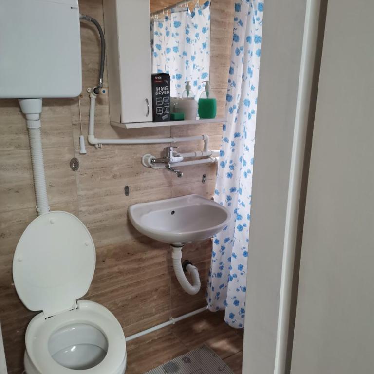 Apartmani Cvetković - Apartman sa 1 Spavaćom Sobom - 9